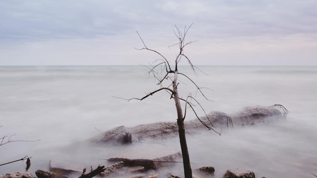 découvrez les meilleures randonnées côtières qui vous plongeront au cœur de paysages marins à couper le souffle. explorez des sentiers pittoresques, vivez des aventures inoubliables et respirez l'air frais de l'océan lors de vos promenades au bord de la mer.