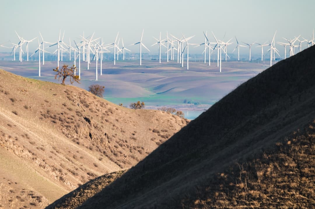 découvrez le tourisme durable, une approche innovante qui préserve l'environnement tout en offrant des expériences authentiques. engagez-vous pour un avenir responsable et explorez des destinations qui valorisent la culture locale et la biodiversité.